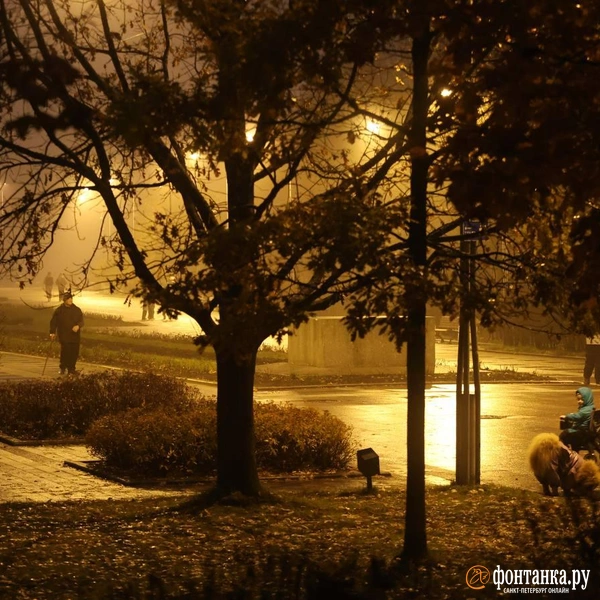 Источник: Марина Мамонтова / «Фонтанка.ру»