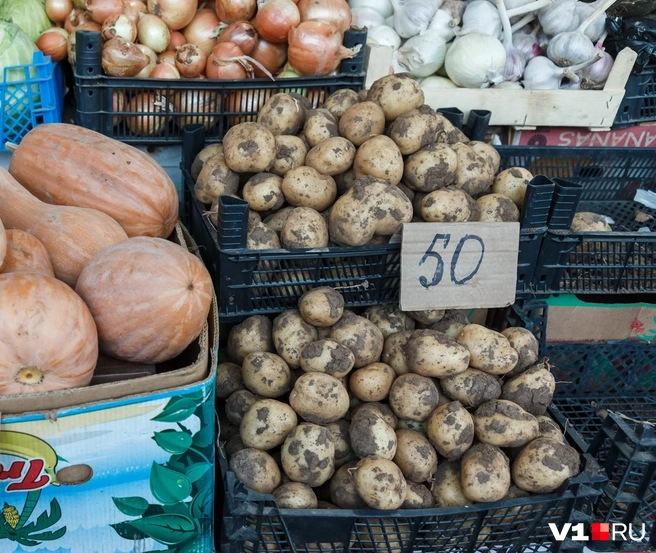 В мае прошлого года цена на картошку была в три раза ниже | Источник: Алексей Волхонский / V1.RU