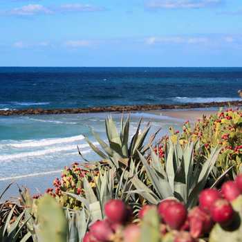 Чистые и обустроенные пляжи делают Израиль очень привлекательным туристическим направлением.