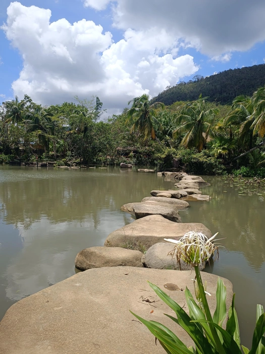 По этим камням так и хочется попрыгать | Источник: предоставлено героями публикации