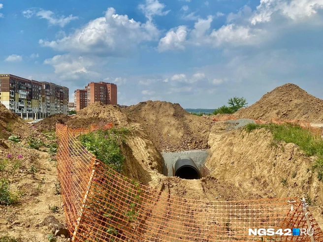 Источник: Елизавета Богатырева / NGS42.RU