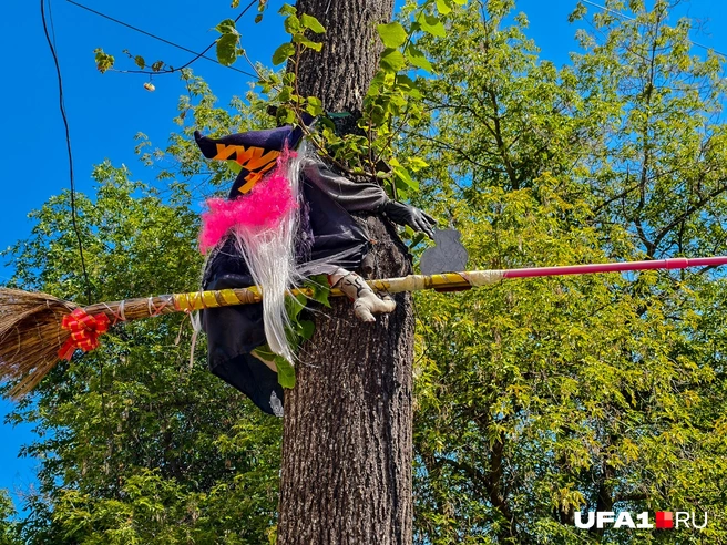 Кажется, словно влетела в дерево на метле | Источник: Булат Салихов / UFA1.RU