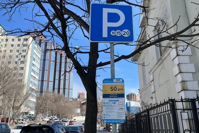 Во Владивостоке начнут ставить блокираторы на авто нарушителей