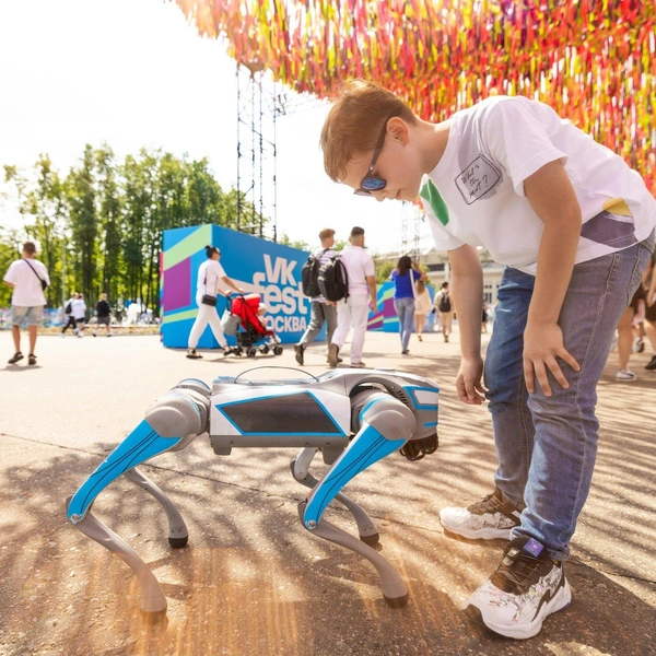 Источник: VK Fest