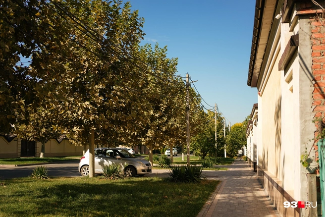 Будет теплее, чем обычно | Источник: Дарья Паращенко / 93.RU