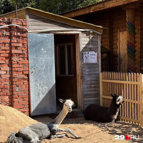 Источник: Валерия Богатырёва / 29.RU