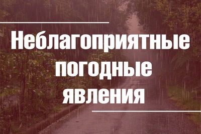 Гроза с дождем прогнозируется в регионе