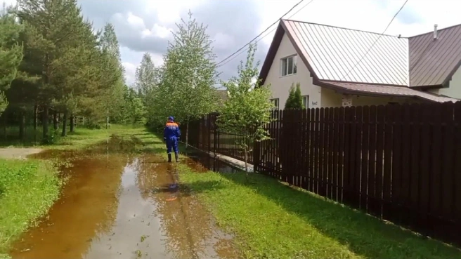 Вода отступает с дачных участков в Ленобласти. Спасатели поехали и убедились в этом лично | Источник: Официальный канал Аварийно-спасательной службы Ленинградской области