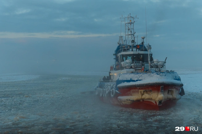 Источник: Иван Митюшёв / 29.RU