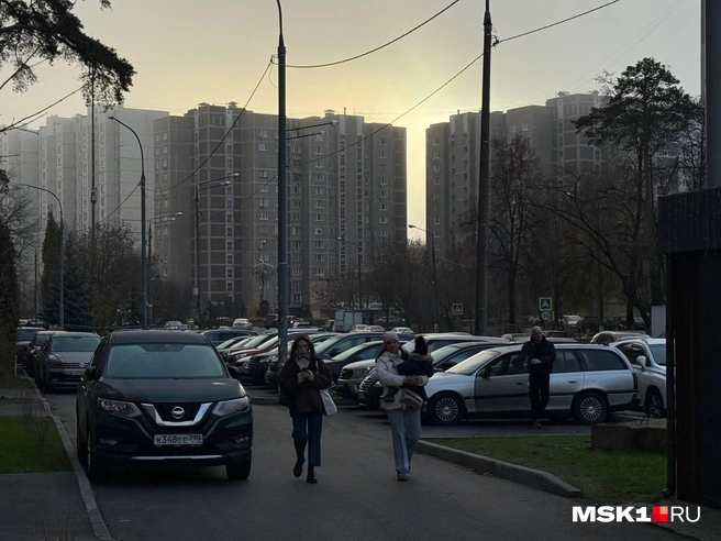 Источник: Артём Устюжанин / MSK1.RU