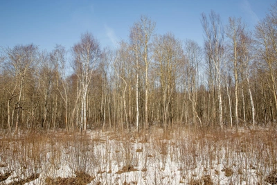 Воронеж за 24 февраля: главные события дня