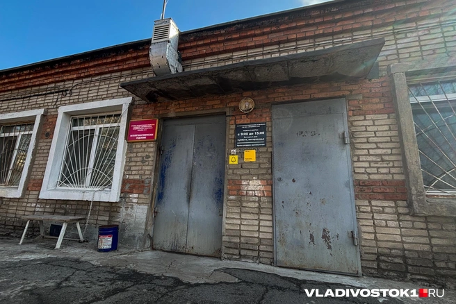 Источник: Елена Буйвол / VLADIVOSTOK1.RU