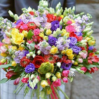 Аватарка Татьяна Полева