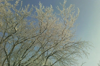 Warm Footwear and Thermal Underwear: Rescuers Advise Ulyanovsk Residents