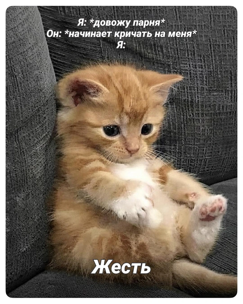 Так выглядит абьюз  | Источник: Городские медиа
