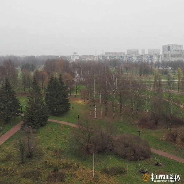 Источник: Михаил Огнев / «Фонтанка.ру»