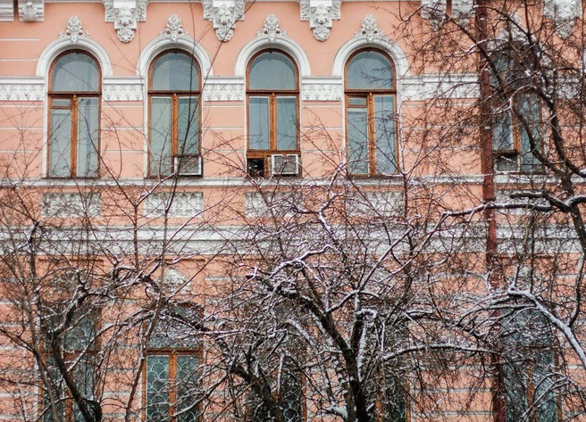 Источник: Ксения Зимина