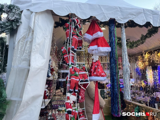 Туроператоры зафиксировали самое дорогое бронирование на Новый год в Сочи за 2,32 миллиона рублей | Источник: Анна Грицевич / SOCHI1.RU