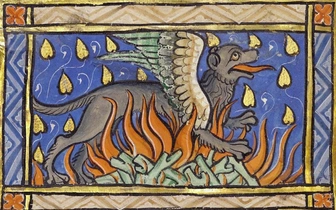 Миф и правда об огненной саламандре: может ли существовать животное, которому не страшно пламя?