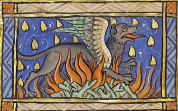 Миф и правда об огненной саламандре: может ли существовать животное, которому не страшно пламя?