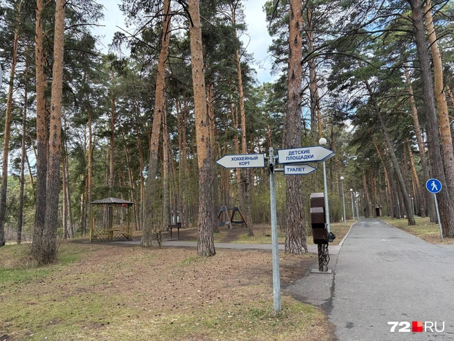 В Гилевской роще хорошая навигация  | Источник: Мария Токмакова / 72.RU