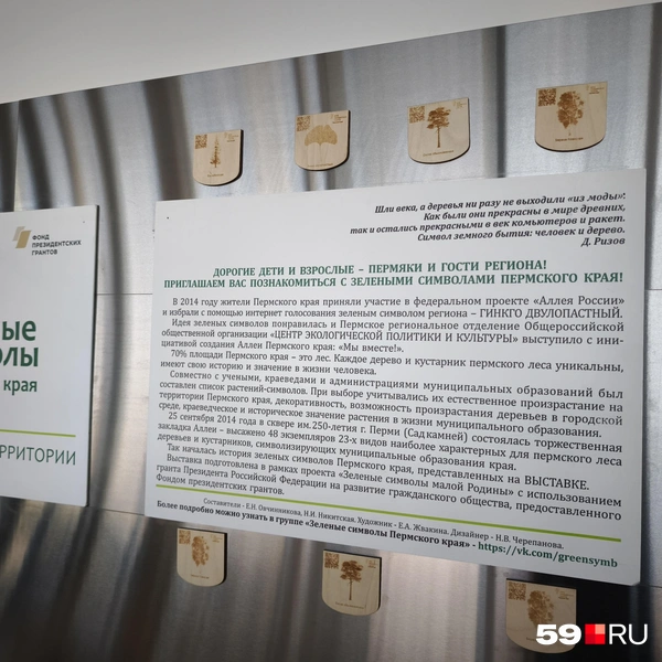 Одну из стен центра занимает проект «Зеленые символы Пермского края» | Источник: Анастасия Селиверстова / 59.RU