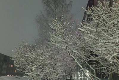 В Свердловскую область вернулась зима: города под снегом