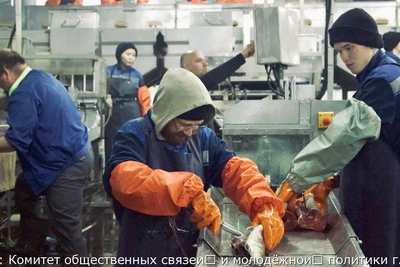 Студенты из Москвы работают рыбообработчиками на Камчатке
