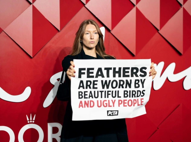 «Перья носят красивые создания и уродливые люди»: Участники PETA попытались сорвать проведение премии Fashion Awards 2024