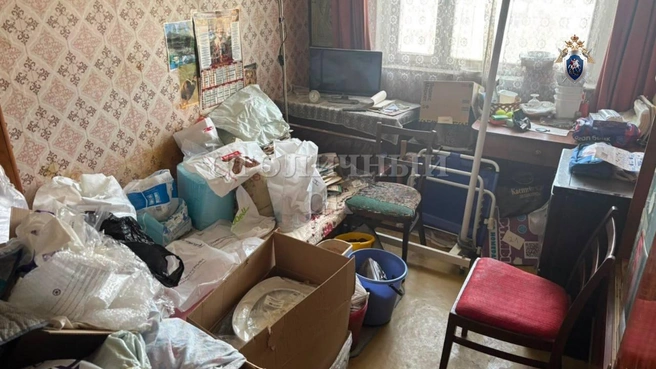 Брат убил и расчленил сестру в Москве | Источник: ГСУ СК России по Москве