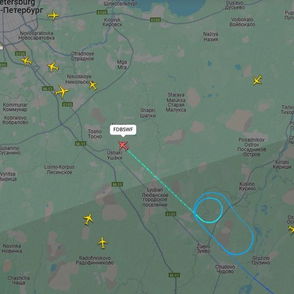 Над Петербургом кружат самолеты. Появилась задержка рейсов на фоне непогоды | Источник: flightradar24.com