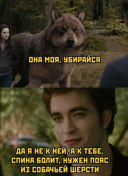 Источник: Соцсети