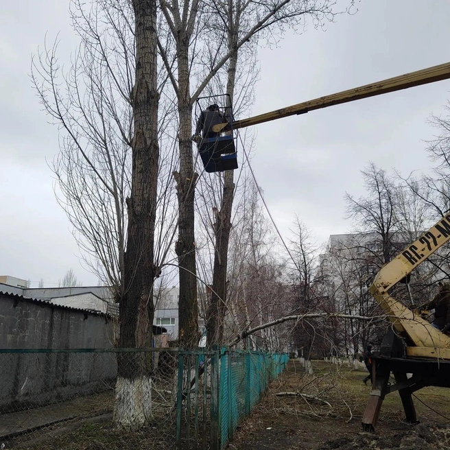 Источник: ugd.ru