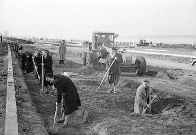 Посадка лип на одном из участков набережной. Октябрь 1956 г. | Источник: фотофонды Самарского областного госархива социально-политической истории и Центрального госархива Самарской области