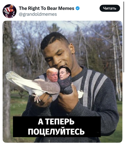 Источник: X (Twitter)