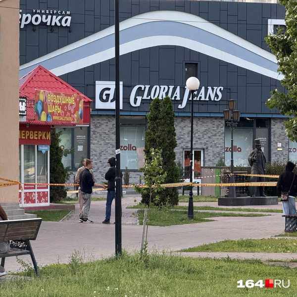 Источник: Сергей Петунин / 164.RU