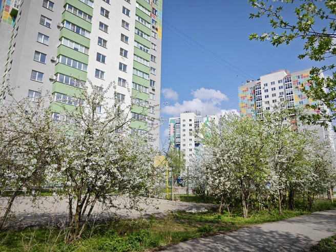 Под окнами дома есть живописный дендропарк для прогулок | Источник: «Белый город»