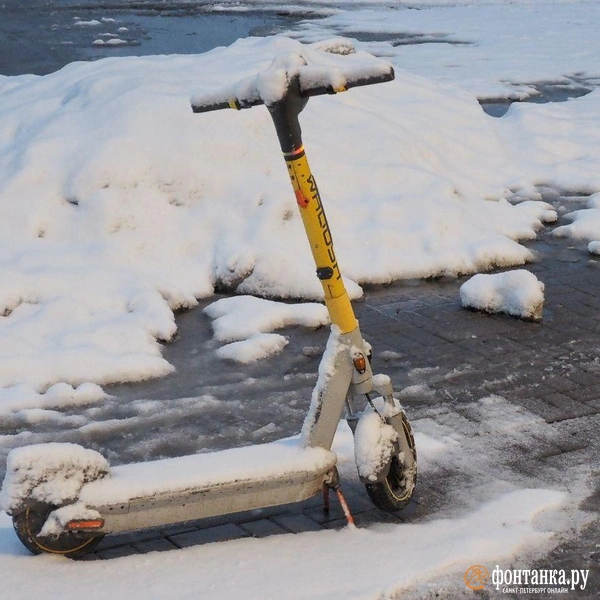 Источник: Михаил Огнев / FONTANKA.RU 