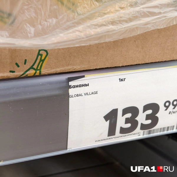 Источник: Булат Салихов / UFA1.RU