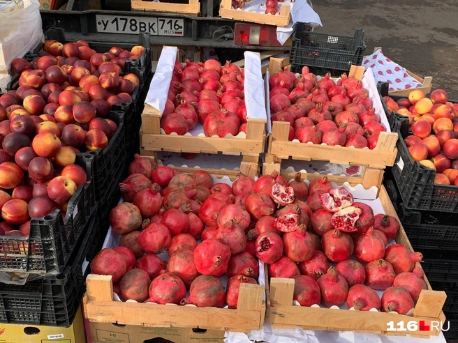 А это гранаты, рядом — нектарины | Источник: Ильгиз Шарифзянов / 116.RU