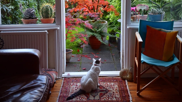 ТЕСТ: какой элемент декора вам стоит купить осенью?