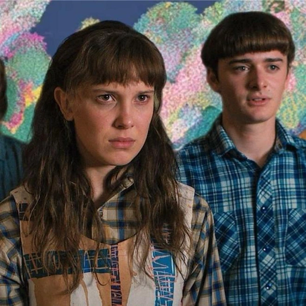 Финал «ОСД»: самые безумные фанатские теории про 5 сезон сериала «Очень странные дела» | Источник: theGirl