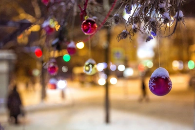 Куда сходить в Ярославле 11 января: последний праздничный день