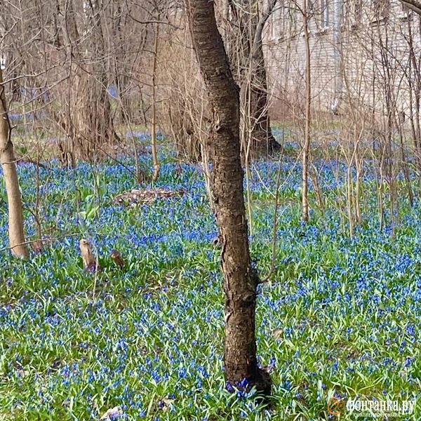 Источник: читательница «Фонтанки»