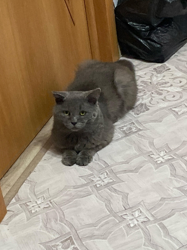 Изображение пользователя