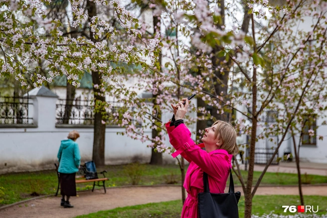 Сфотографировать себя, а потом цветы отдельно | Источник: Кирилл Поверинов / 76.RU