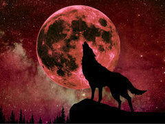 Волчья Луна: что принесет первое полнолуние 2026 года всем знакам зодиака