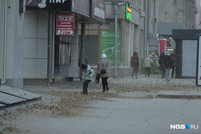 Весело, кажется, в такую погоду только детям | Источник: Андрей Бортко / NGS.RU