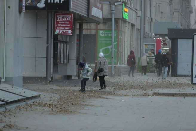 Источник: Андрей Бортко / NGS.RU