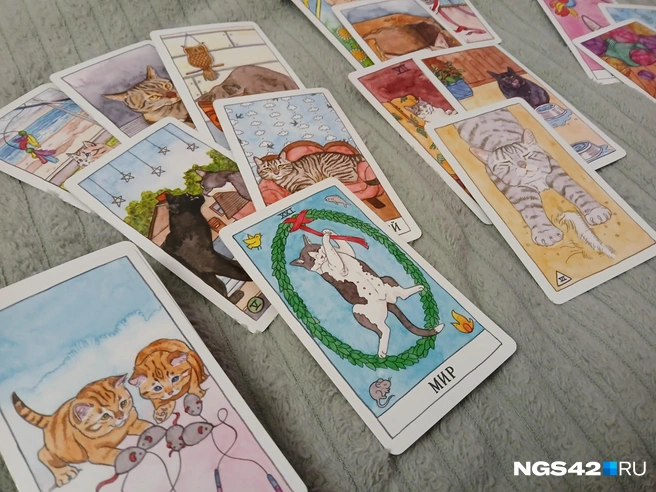 Источник: NGS42.RU